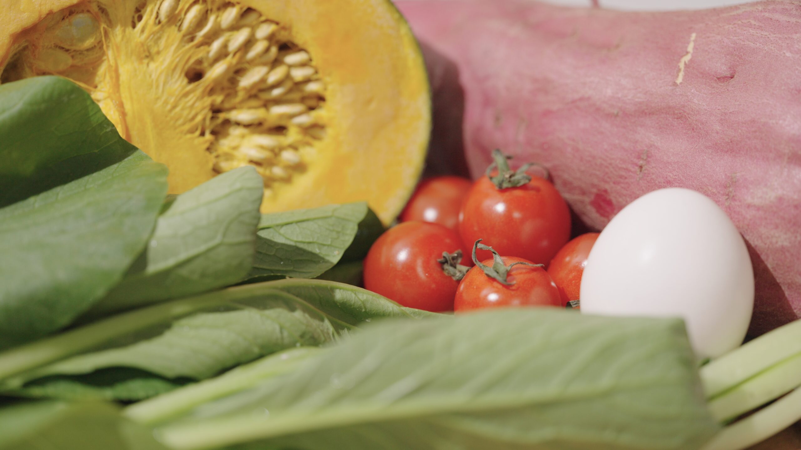 アオジタごはん｜品質・製造編｜ 極冷凍×真空×14日ローテで安全を証明